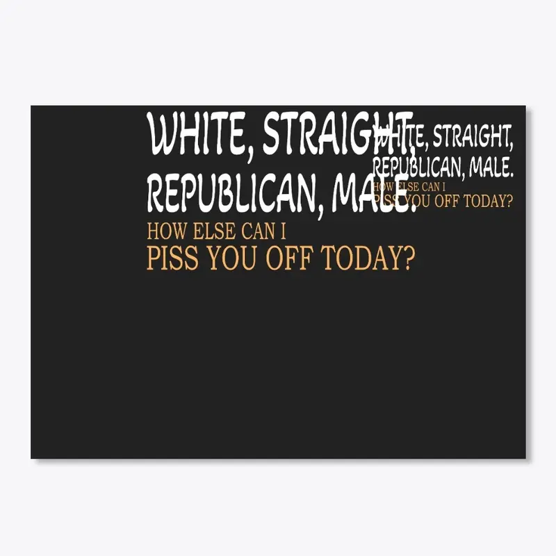 White Straight Republican Male Funny   